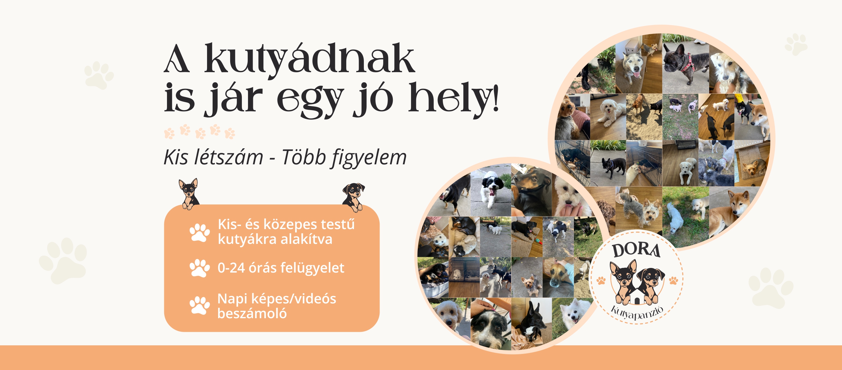 DORA Kutyapanzió és Kutyaiskola